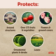 Sevin Insect Killer Outdoor Lawn Granules; 10 lb Bag Treats up to 10,000 Sq. ft.
