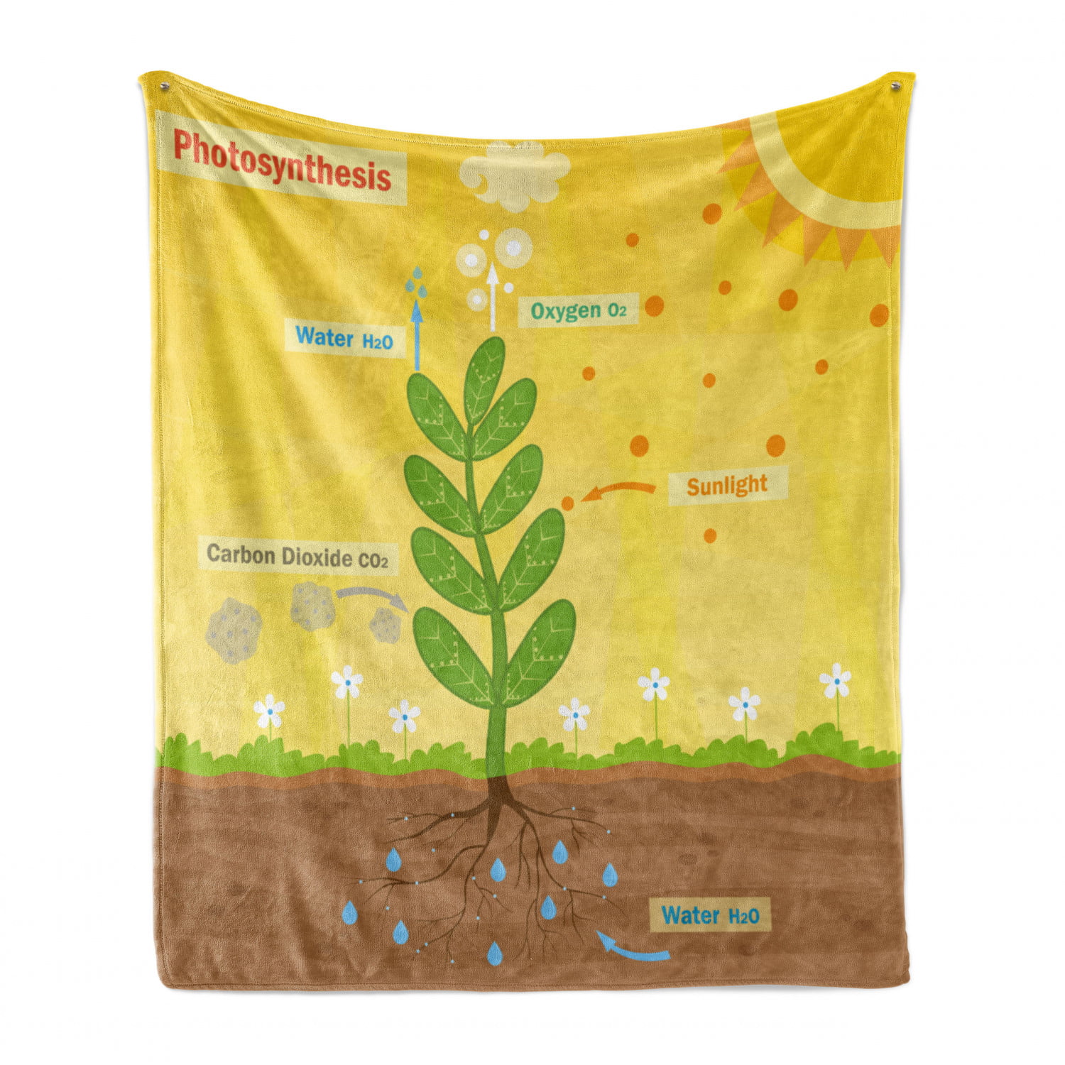 Cozy Plush for Indoor and Outdoor Use Earth Yellow Green Umber Ambesonne Science Soft Flannel Fleece Throw Blanket Cartoon Photosynthesis Oxygen Carbon Dioxide Sunlight and Water 50 x 60 
