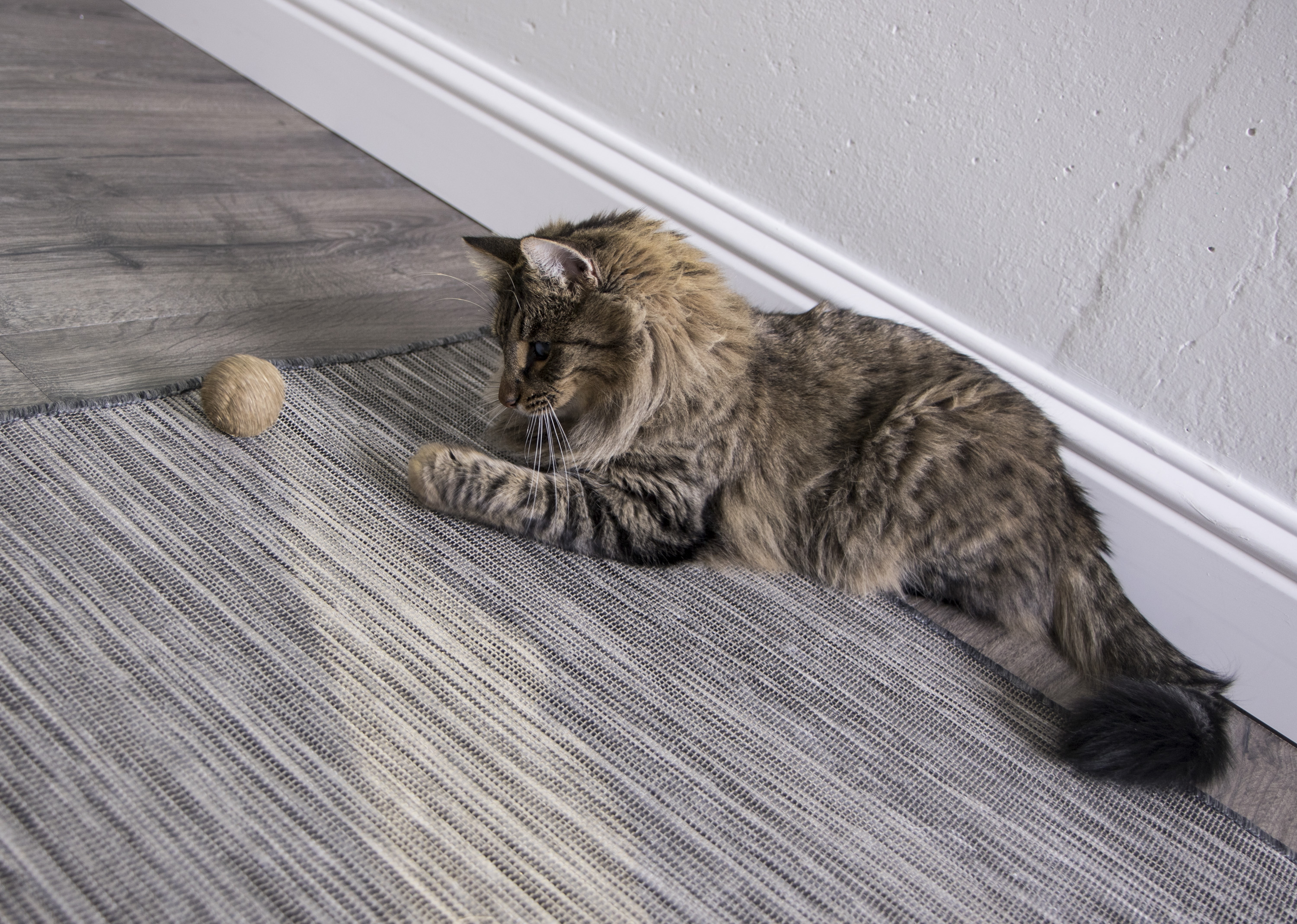 SmartyKat Catnip Kiss Compressed Catnip Ball Cat Toy - image 5 of 6