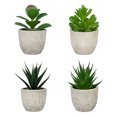 thumbnail image 1 of Cateissary 4 piezas para el hogar con decoración plantas suculentas artificiales-belleza botánica dentro de plantas falsas para aliviar el Decoración, 1 of 6