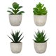 thumbnail image 1 of Injueey 4 unids/set vida orgánica con plantas suculentas artificiales-ambiente Natural en el hogar decoración de refuerzo de salud Artificial Decoración, 1 of 6