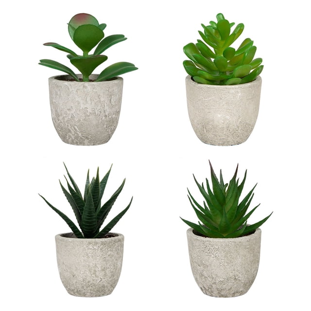 Cateissary 4 piezas para el hogar con decoración plantas suculentas artificiales-belleza botánica dentro de plantas falsas para aliviar el Decoración