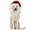 Santa Claus, variant on Moose Costume for Dogs, Funny Pet Apparel, Furry Dog Clothing Accessories (Size M, Moose)
