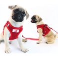 thumbnail image 3 of LAICAIW Dog Harness and Leash Set, No Pull Reflective Adjustable Pet Soft Mesh Chest Vest Harnesses Easy Control for Small Medium Dogs and Cats Outdoor Walking, 3 of 7