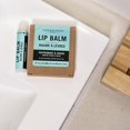 thumbnail image 2 of Caron & Doucet - Bálsamo labial 100 % natural - Bálsamo labial hidratante premium de cera de abeja y aceite de oliva - Ideal para labios secos y agrietados. (Paquete de 4, menta y cacao), 2 of 5