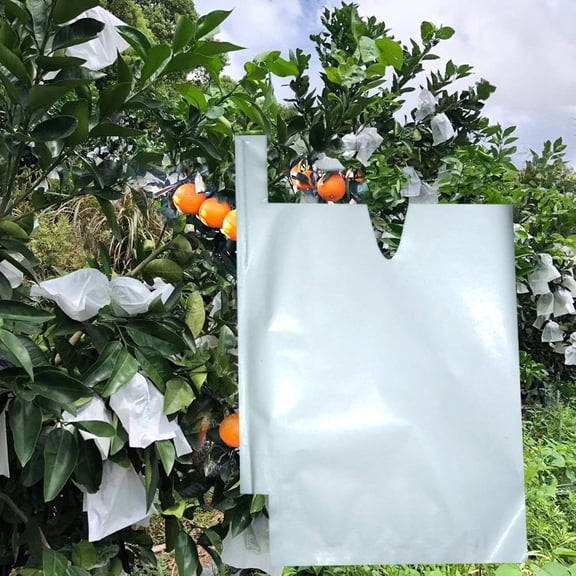 Waterproof Shading Fruit Cover, Fruit Protection Paper Bags for Fruit Trees, Orchard, Trees, Frost, Plants(160x190mm,100Pcs )