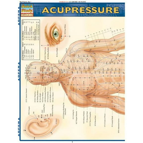 BarCharts- Inc. Acupressure