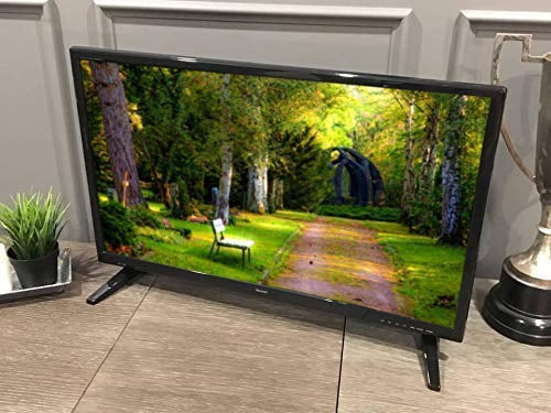 Free Signal TV Transit 32&quot; 12 Volt DC Powered LED Flat Screen HDTV for RV Camper and Mobile Use