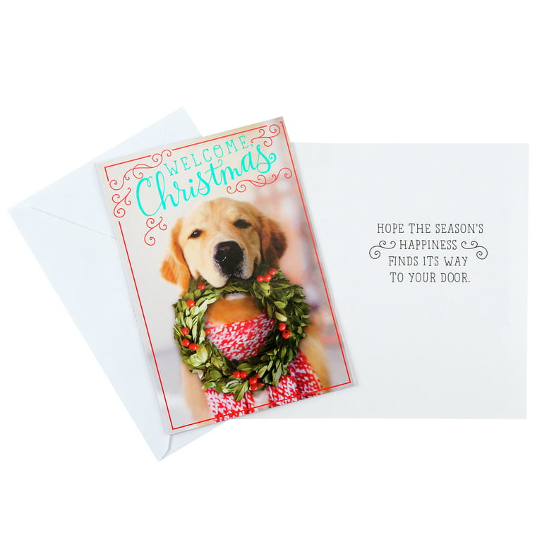 Walmart Gift Card - Basket of Cute Yellow Puppy Dogs - Christmas - No Value
