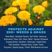 BioAdvanced Lawn Weed Killer, Concentrate, 32 oz, 16,000 Sq Ft (2-Pack)