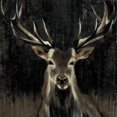 thumbnail image 2 of Art.com Young Buck Art Print by Liz Jardine, 24" x 24", 2 of 4