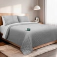 thumbnail image 1 of Dreamlab Edredón Matrimonial Ligero y Juego de Sábanas con Fundas de Almohada Decorativas (7 pzas). Set de Colcha Ligera y Sábanas para Cualquier Temporada. Hipoalergénico. Trébol, Gris Claro / Blanco, 1 of 10
