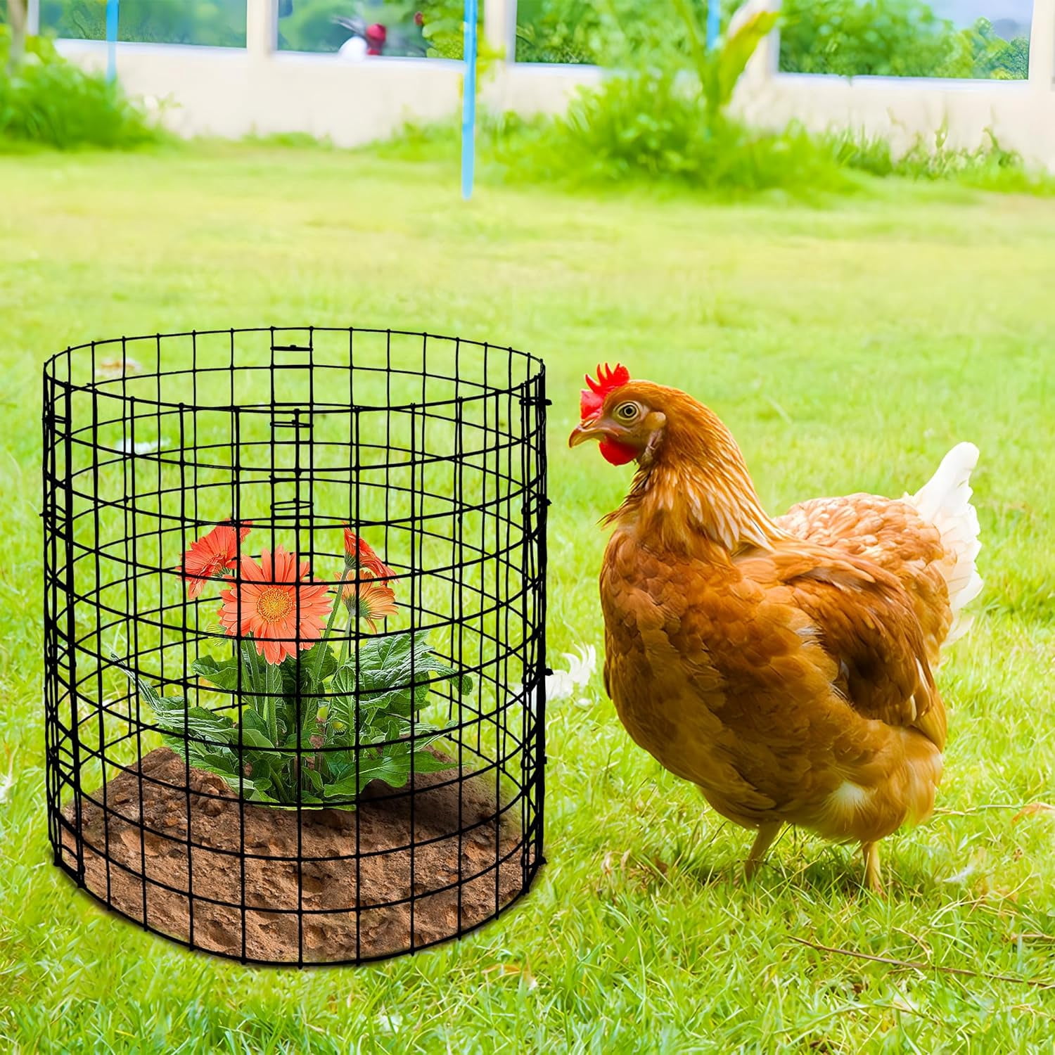 Ebaokuup 10 Pcs 12" x 12" Metal Mesh Plant Cages for Animal Protection