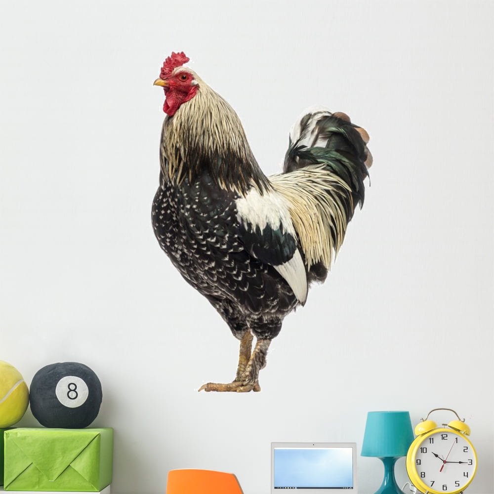 Side Brahma Rooster Wall Decal Sticker By Wallmonkeys Vinyl Peel