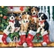 thumbnail image 1 of Puzzle ChengQism Christmas Cachorros 100 piezas 45 x 35 cm, 1 of 7
