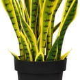 thumbnail image 6 of Northlight Artificial Potted Snake Plant - 38", 6 of 7