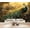 Color 4, variant on Wallpaper Eagle Shadow Misty Ridges Mountain Forest Peel and Stick Wall Murals 69"H x 96"W Removable PVC Wall Paper Self-Adhesive Wall Paintings Art Decor for Bedroom Living Room