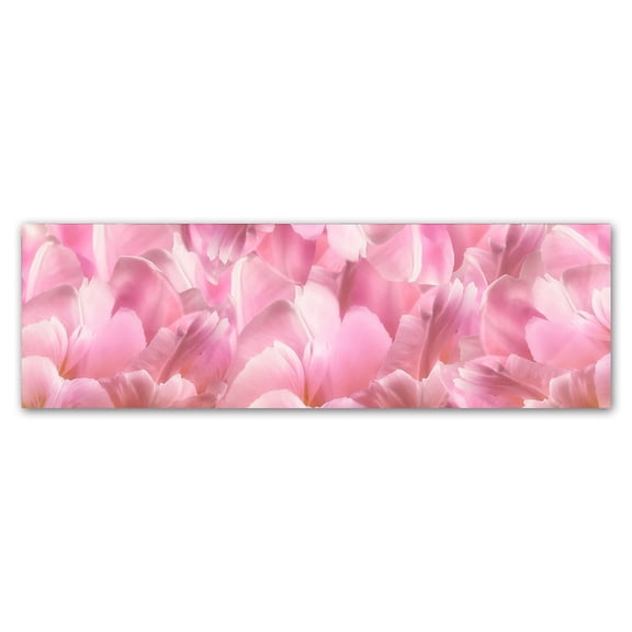 Trademark Fine Art 'Pink Tulip Scape' Canvas Art by Cora Niele