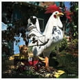 thumbnail image 3 of LAWN CHICKEN by photographer Steven A. Heller - 14"x14" Canvas Artwork - Multi-Color 16 x 20, 3 of 5