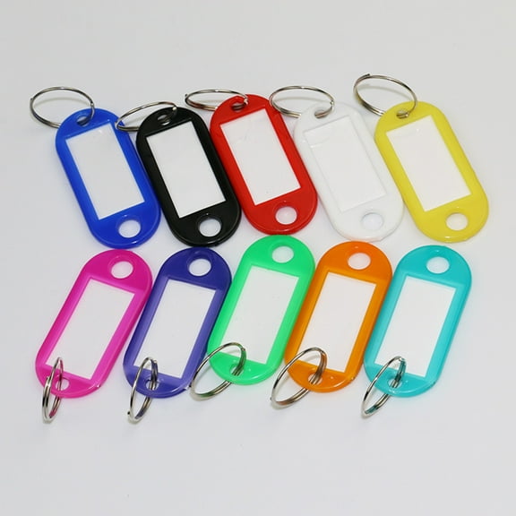 Dream Lifestyle Key Tags, Multicolored Key Labels Tags with Split Ring Label Window, Key Chain Id Tags, Key Identifiers for Key Tags Luggage Pet Name Memory Stick Tags 20pcs