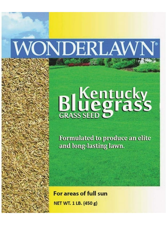 Kentucky Bluegrass Seed in Grass Seed & Sod
