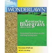 Barenbrug USA 50201 Kentucky Bluegrass Grass Seed