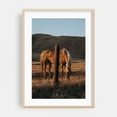thumbnail image 2 of Golden Pony - Springville California Photography Horse Pastoral Rustic Farmhouse Rural Countryside Wildlife Unframed Wall Art Print 32 x 48 inches, 2 of 60
