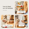thumbnail image 4 of Freshpet Fresh Dog Food, Tender Chicken Recipe, Slice & Serve 2.72 kg, 4 of 6