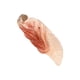 thumbnail image 4 of Worallymy Animal Ciclo de Crecimiento Juguete Plástico Simulado Niños Ciclo de Vida Conjunto Kid Kit de Herramientas Educativas Animal 2 Worallymy JD735923561, 4 of 7
