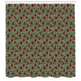 thumbnail image 3 of Ambesonne Poppy Flower Shower Curtain, Ballerina Style Twigs, 69"Wx75"L, Green Chestnut Brown Red, 3 of 3