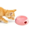 thumbnail image 4 of CBFFDC Spacious Pet Feeding Dish Large Capacity Pet Bowl Easy Access Shaped Wall Design Multipurpose Pet Bowl Feeder, 4 of 7