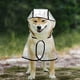 thumbnail image 4 of Chubasquero para perros con capucha, Poncho, chubasquero transparente para perros pequeños, impermeable, cachorros, gatos, mascotas 146, 4 of 7