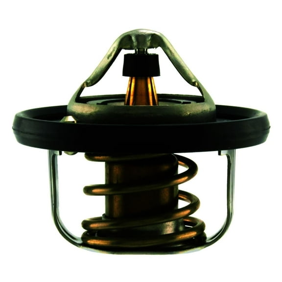 Engine Coolant Thermostat