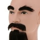 thumbnail image 5 of Maniquí masculino de cosmetología con barba para peluquería Largo, 5 of 8