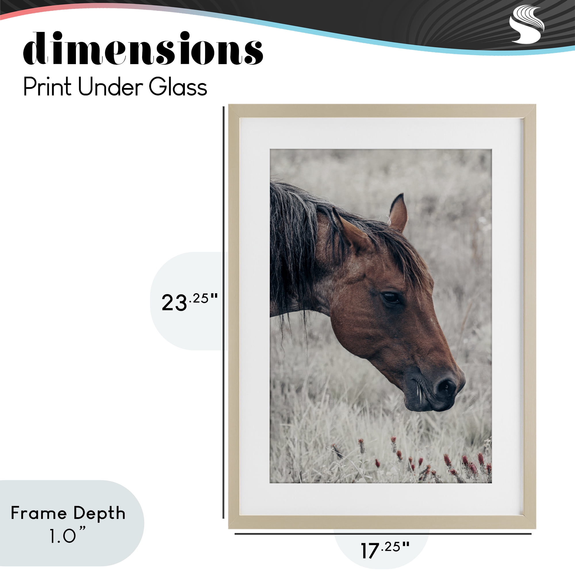 Stupell Industries Mother Horse Grazing in Meadow Birch Framed Print Under Glass, design by Nathan Larson