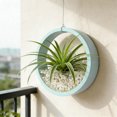 thumbnail image 5 of BotaniNest Succulent With Holes For Performance Under Various Conditions, 5 of 5