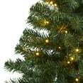 thumbnail image 5 of Nearly Natural 4' Green Northern Tip Pine Artificial Christmas Tree Prelit 100 Clear LED Lights, 5 of 7
