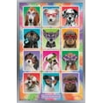 thumbnail image 1 of Keith Kimberlin - Chiots - Lunettes de soleil, 1 of 4
