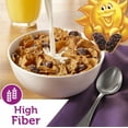 thumbnail image 6 of Kellogg's Raisin Bran Original Breakfast Cereal (Pack of 14), 6 of 9