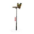 thumbnail image 5 of T Stand Parrot Training Playing With Base Cage Bird Perch Standing For Finch, 5 of 5