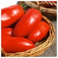 thumbnail image 4 of Everwilde Farms - 50 Polish Paste Heirloom Tomato Seeds - Gold Vault Seed Packet, 4 of 5