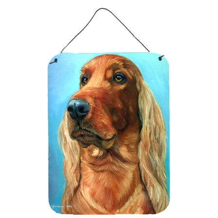 Carolines Treasures 7314DS1216 Irish Setter in Blue Wall or Door Hanging Prints 12x16 multicolor