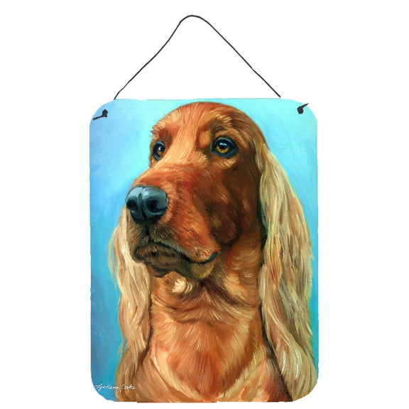 Carolines Treasures 7314DS1216 Irish Setter in Blue Wall or Door Hanging Prints 12x16 multicolor