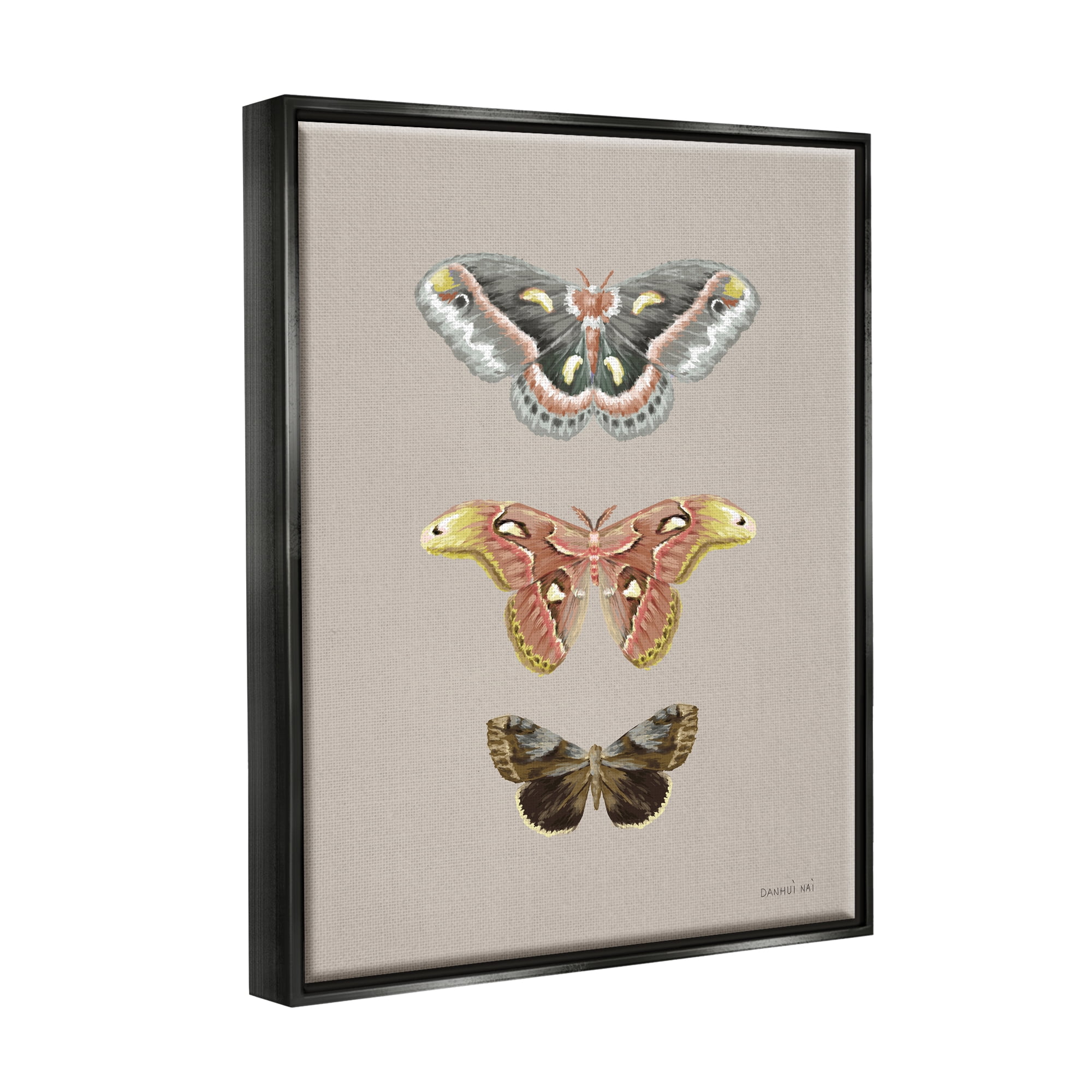 Stupell Industries Vintage Moth Specimens Animals & Insects Painting Black Floater Framed Art Print Wall Art, 17 x 21