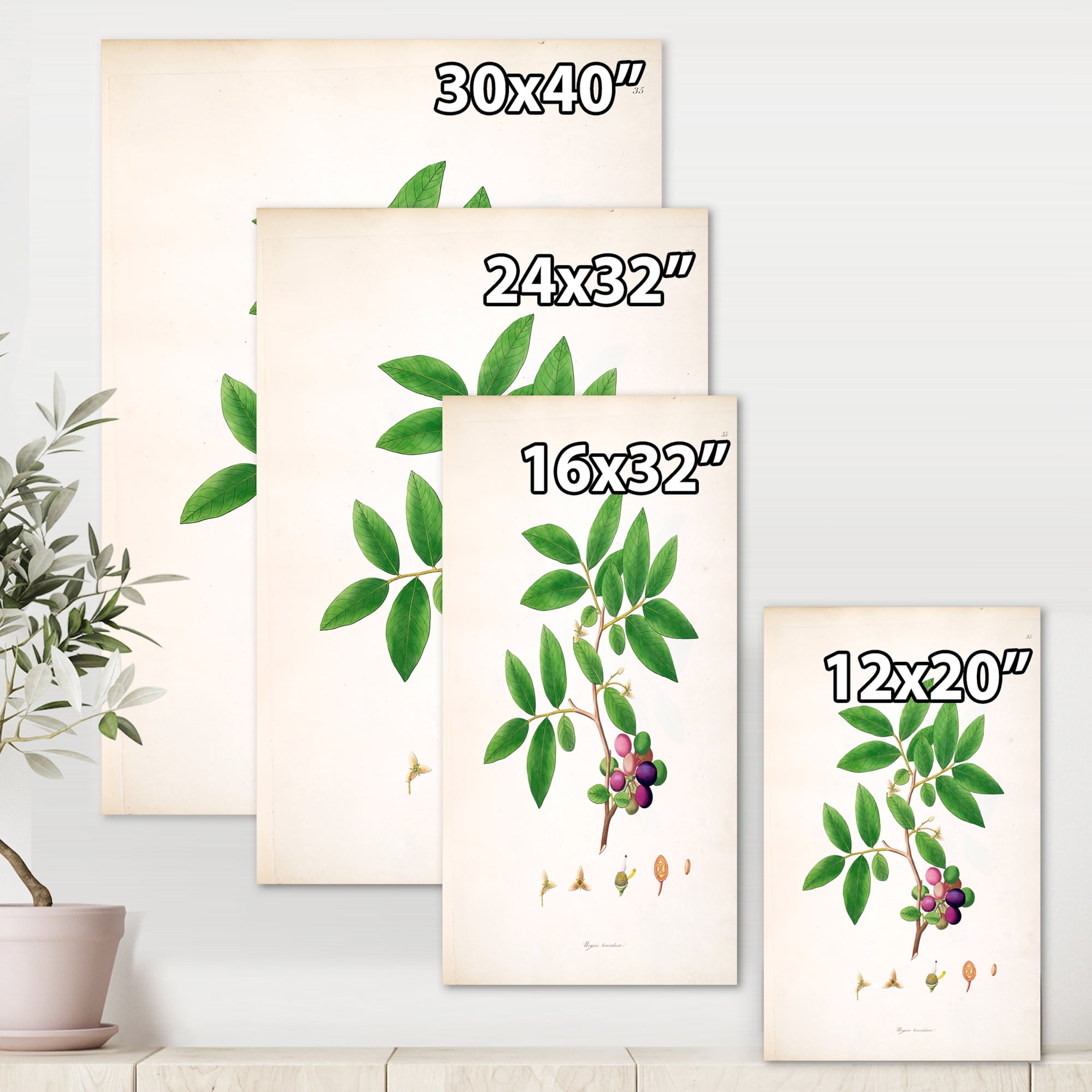 Designart ' Ancient London Plants XI ' Farmhouse Canvas Wall Art Print
