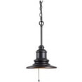 thumbnail image 1 of Kenroy Home 93036AMB Sanborn 1 Light Pendant, 1 of 4