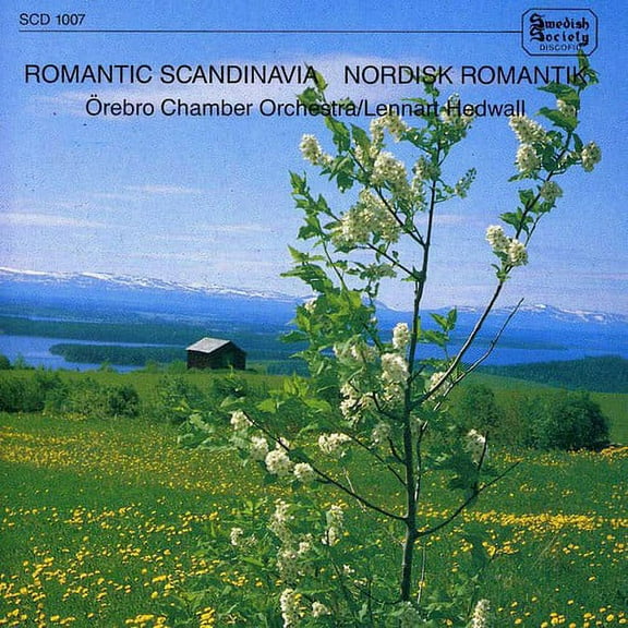 Hedwall / Orebro Chamber Orch - Romantic Scandinavia - Music & Performance - CD