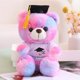 thumbnail image 5 of Bear Toy With Graduation Graduation Gift Graduation Bear Stuffed Toy Graduation Commemorative Her Him College High School Children, 5 of 6