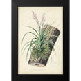 thumbnail image 2 of Severeyns, George 17x24 Black Modern Framed Museum Art Print Titled - Orchid Delight II, 2 of 5