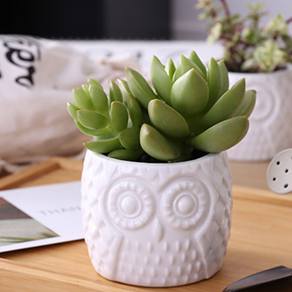 Owl Shaped Ceramic Cactus Succulent Flower Plant Pots Planter with Bamboo Tray 